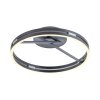 Paul Neuhaus Verlichting Loop Plafondlamp LED Grijs, 2-lichts, Afstandsbediening