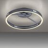 Paul Neuhaus Verlichting Loop Plafondlamp LED Grijs, 2-lichts, Afstandsbediening