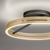 Paul Neuhaus Verlichting Loop Plafondlamp LED Goud, Zwart, 2-lichts, Afstandsbediening