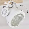 Herford Plafondlamp, 2-lichts