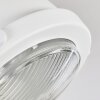 Herford Plafondlamp, 2-lichts