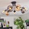 Gastor Plafondlamp, Kogellampje Amber, Duidelijk, Rookkleurig, 7-lichts