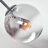 Gastor Plafondlamp, Kogellampje Amber, Duidelijk, Rookkleurig, 7-lichts