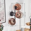 Ripoll Kogellampje, Wandlamp Duidelijk, Koperkleurig, 3-lichts