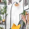 Ripoll Staande lamp Zwart, 1-licht