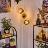 Koyoto Staande lamp 31 cm Goud, Duidelijk, 3-lichts