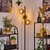 Koyoto Staande lamp 31 cm Goud, Duidelijk, 3-lichts