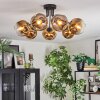 Ripoll Plafondlamp, Kogellampje Goud, Duidelijk, 7-lichts