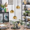 Ripoll Hanglamp, Kogellampje, Cluster hanglamp Goud, Duidelijk, 3-lichts