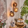 Ripoll Kogellampje, Wandlamp Duidelijk, Koperkleurig, 3-lichts