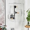 Gastor Kogellampje, Wandlamp Duidelijk, 3-lichts