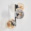 Gastor Kogellampje, Wandlamp Amber, Duidelijk, Rookkleurig, 3-lichts