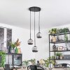 Ripoll Hanglamp, Kogellampje, Cluster hanglamp Chroom, Rookkleurig, 3-lichts