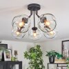 Ripoll Plafondlamp, Kogellampje Duidelijk, 5-lichts