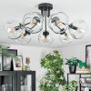 Ripoll Plafondlamp, Kogellampje Duidelijk, 7-lichts