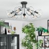 Ripoll Plafondlamp, Kogellampje Duidelijk, 7-lichts
