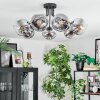 Ripoll Plafondlamp, Kogellampje Chroom, Duidelijk, Rookkleurig, 7-lichts