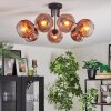 Ripoll Plafondlamp, Kogellampje Duidelijk, Koperkleurig, 7-lichts