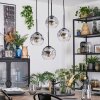 Ripoll Hanglamp, Kogellampje, Cluster hanglamp Duidelijk, Rookkleurig, 4-lichts