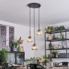 Ripoll Hanglamp, Kogellampje, Cluster hanglamp Amber, Duidelijk, 3-lichts