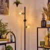 Ripoll Staande lamp Duidelijk, 3-lichts