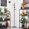 Ripoll Staande lamp Duidelijk, 3-lichts