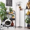 Ripoll Staande lamp Goud, Duidelijk, Koperkleurig, Rookkleurig, 3-lichts