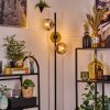 Ripoll Staande lamp Goud, Duidelijk, Koperkleurig, Rookkleurig, 3-lichts