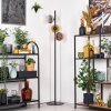 Ripoll Staande lamp Goud, Duidelijk, Koperkleurig, Rookkleurig, 3-lichts