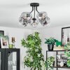 Ripoll Plafondlamp, Kogellampje Duidelijk, Rookkleurig, 5-lichts