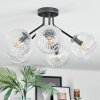 Ripoll Plafondlamp, Kogellampje Duidelijk, 5-lichts