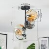 Ripoll Plafondlamp, Kogellampje Amber, Duidelijk, Rookkleurig, 4-lichts