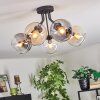 Koyoto Plafondlamp, Kogellampje 52 cm Amber, Duidelijk, Rookkleurig, 5-lichts