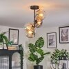 Ripoll Plafondlamp, Kogellampje Amber, Duidelijk, Rookkleurig, 4-lichts