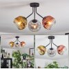 Ripoll Plafondlamp, Kogellampje Goud, Duidelijk, Koperkleurig, Rookkleurig, 3-lichts