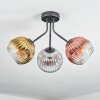 Ripoll Plafondlamp, Kogellampje Goud, Duidelijk, Koperkleurig, Rookkleurig, 3-lichts
