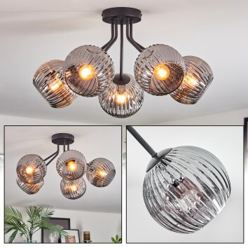 Ripoll Plafondlamp, Kogellampje Rookkleurig, 5-lichts