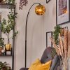 Ripoll Staande lamp Zwart, 1-licht