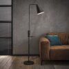 Terwispel Staande lamp Antraciet, 1-licht