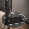 Terwispel Staande lamp Antraciet, 1-licht