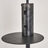 Terwispel Staande lamp Antraciet, Grijs, Zwart, 1-licht