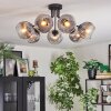 Ripoll Plafondlamp, Kogellampje Duidelijk, Rookkleurig, 7-lichts