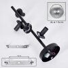 Koyoto Plafondlamp, Kogellampje 32 cm Duidelijk, Rookkleurig, 4-lichts