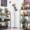 Ripoll Staande lamp Blauw, Goud, Groen, 3-lichts