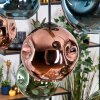 Ripoll Hanglamp, Kogellampje, Hanglamp Natuurlijke kleuren, Zwart, 8-lichts