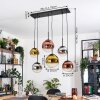 Gastor Hanglamp, Kogellampje, Hanglamp Chroom, Goud, Duidelijk, Koperkleurig, Rookkleurig, 6-lichts