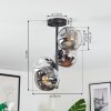 Ripoll Plafondlamp, Kogellampje Chroom, Duidelijk, Rookkleurig, 4-lichts