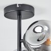 Ripoll Plafondlamp, Kogellampje Duidelijk, Rookkleurig, 4-lichts