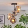 Ripoll Plafondlamp, Kogellampje Duidelijk, Rookkleurig, 4-lichts
