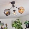 Ripoll Plafondlamp, Kogellampje Amber, Duidelijk, Rookkleurig, 3-lichts